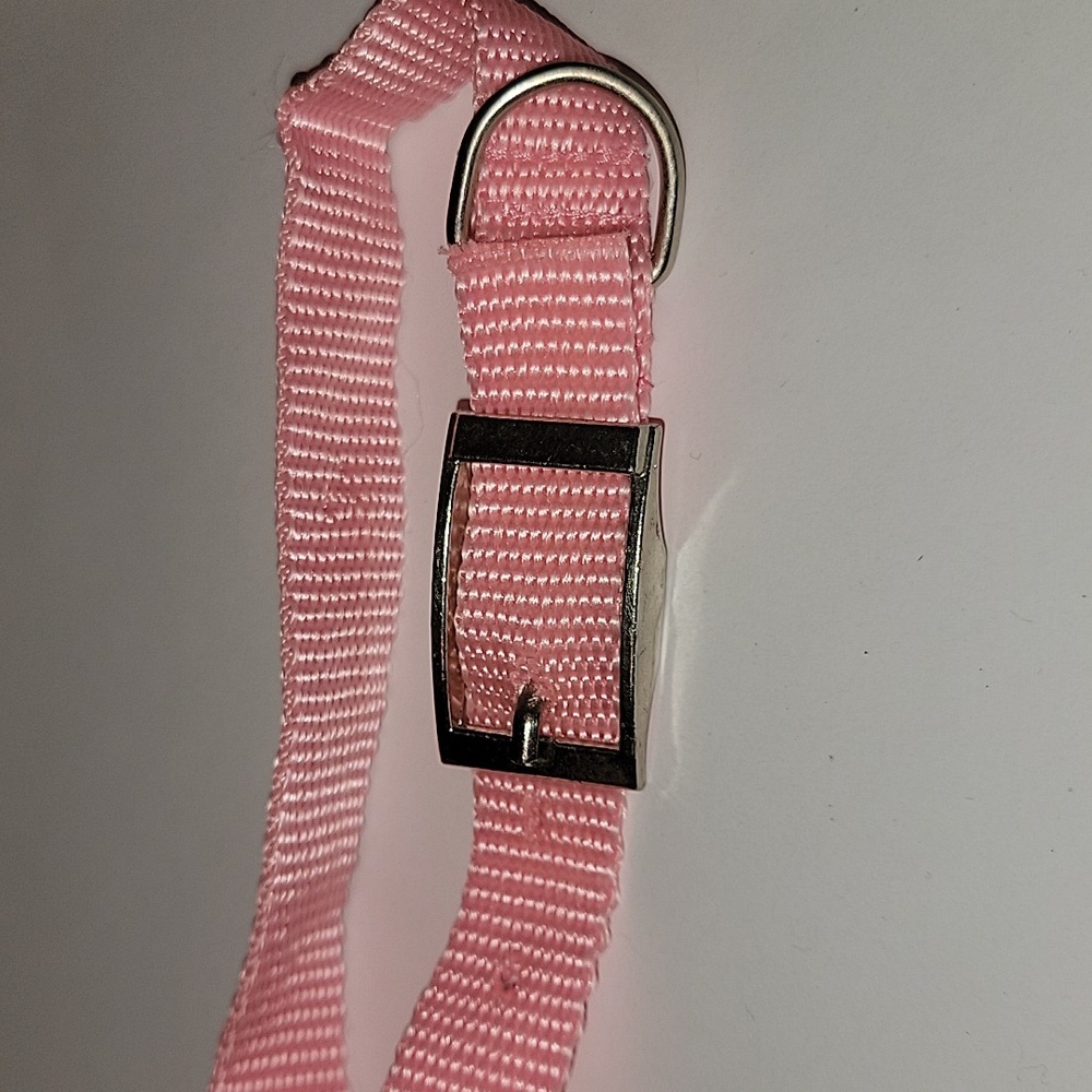 DOG COLLAR - Picture 4 of 4